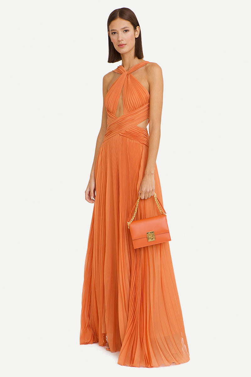 Arabella Chiffon Backless Maxi Dress